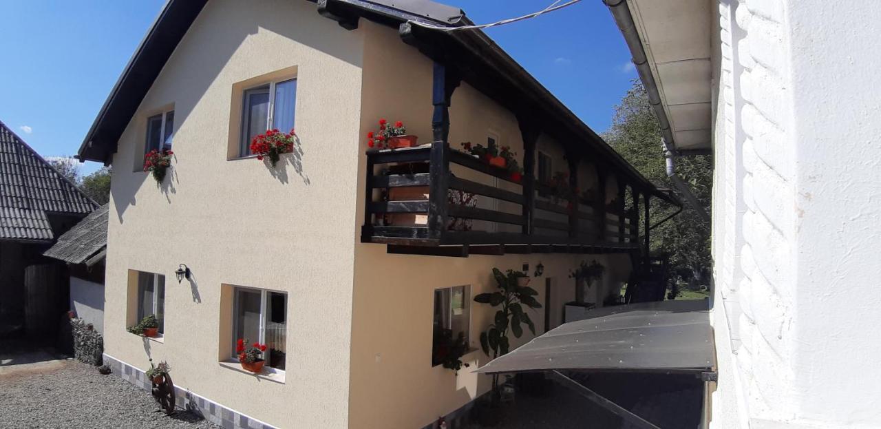 Pensiunea Casa Godja Văleni المظهر الخارجي الصورة