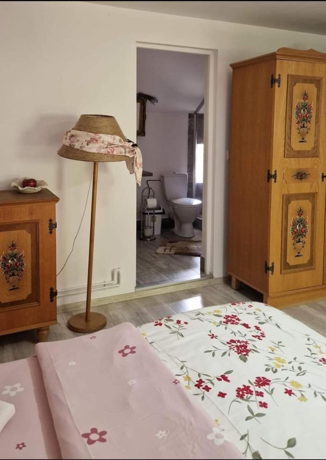 Pensiunea Casa Godja Văleni المظهر الخارجي الصورة