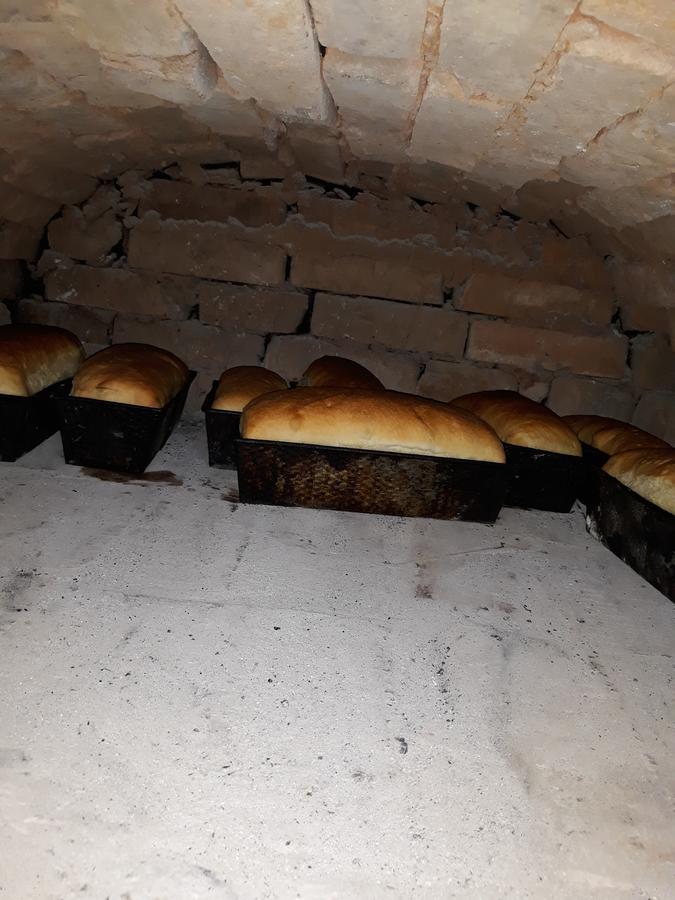 Pensiunea Casa Godja Văleni المظهر الخارجي الصورة