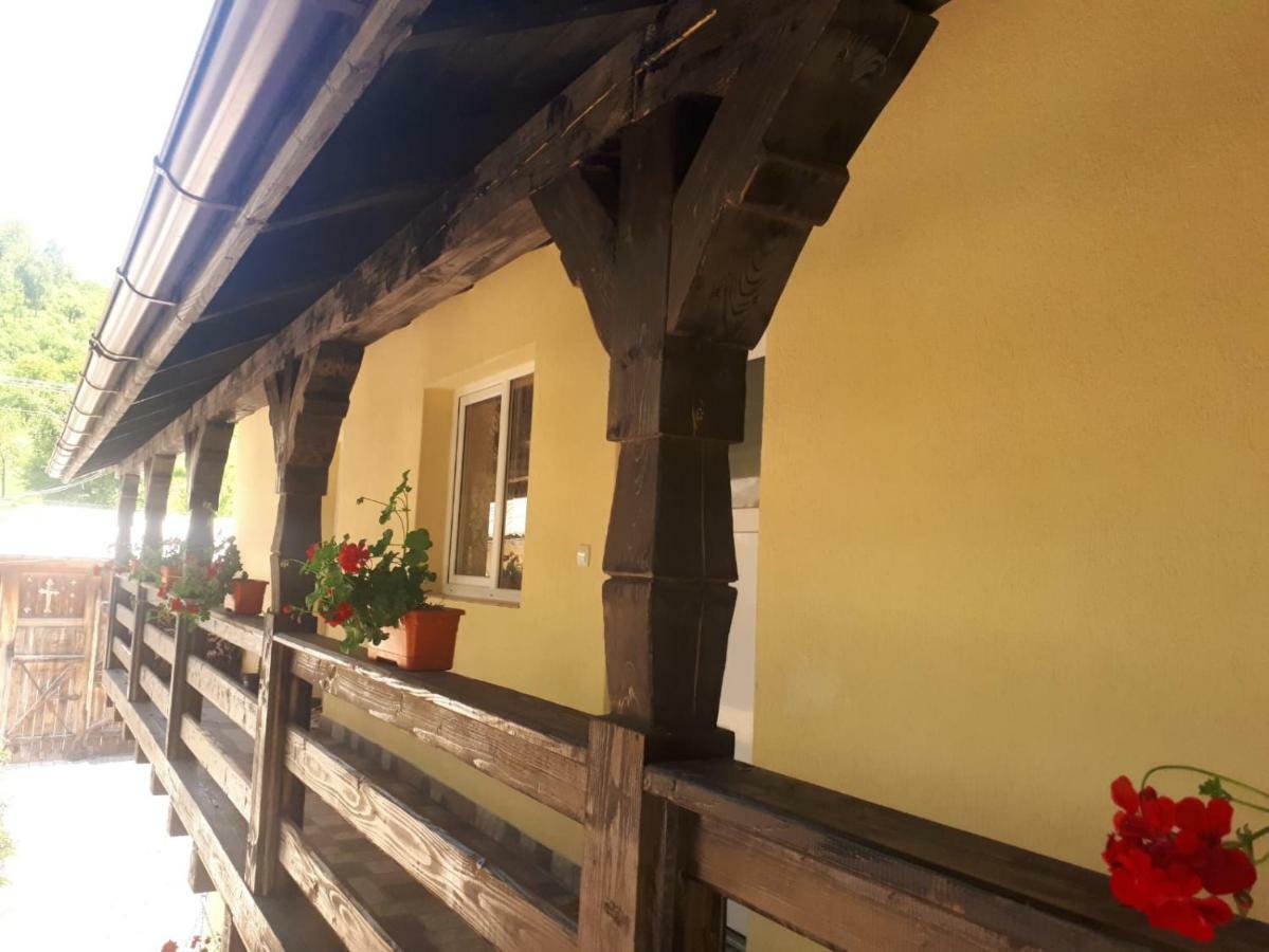 Pensiunea Casa Godja Văleni المظهر الخارجي الصورة
