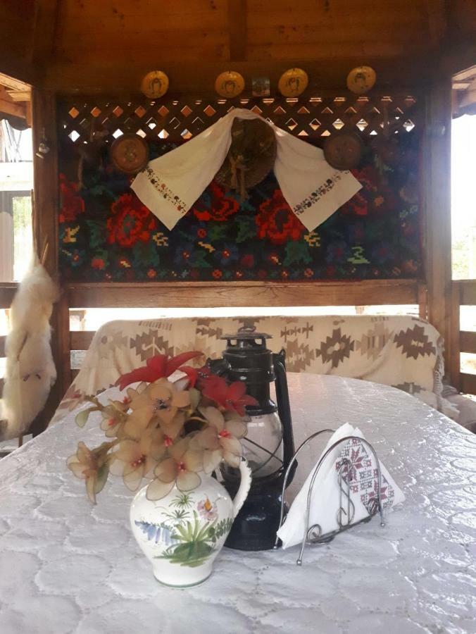 Pensiunea Casa Godja Văleni المظهر الخارجي الصورة