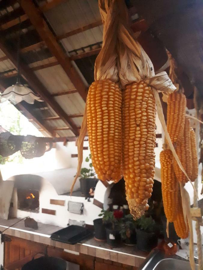 Pensiunea Casa Godja Văleni المظهر الخارجي الصورة